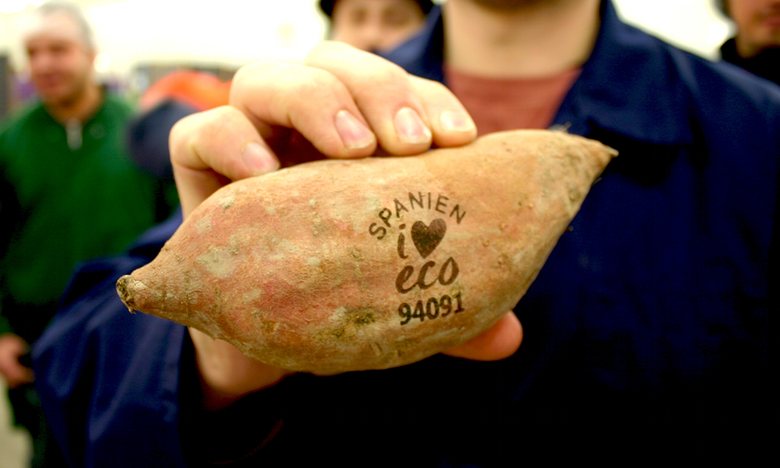 potato