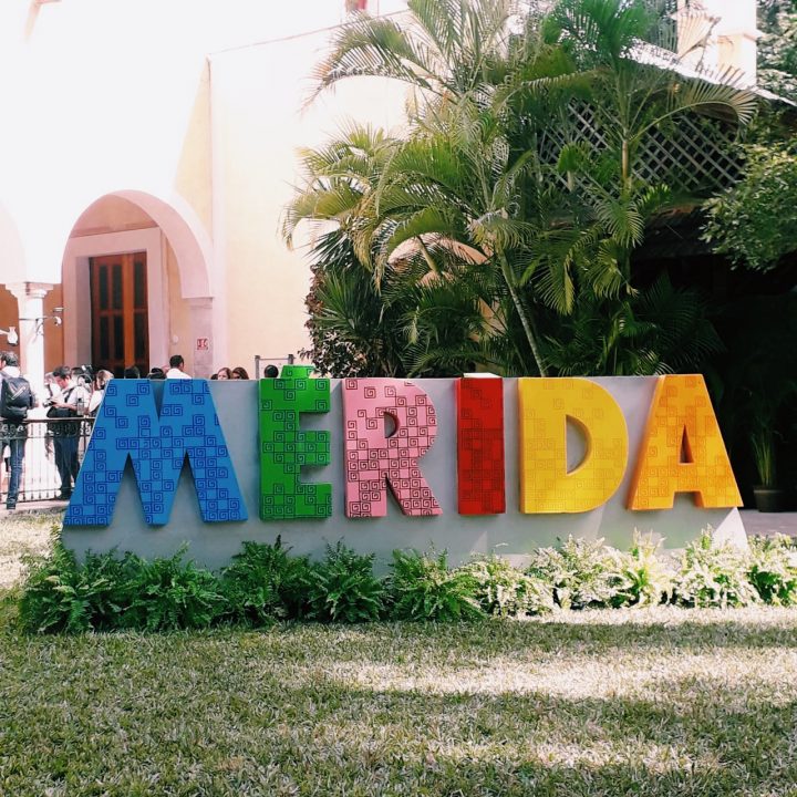 Processed with VSCO with c1 preset